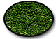 AIG Michigan Moss