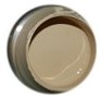 studio paint - traditional tan