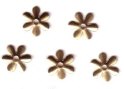 AAT - Dandelion Pinwheels - Gold