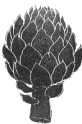 Artichoce