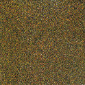 BM Garden Mosaic