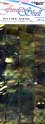 Fansea Shell 4 x 8 Gold Pearl