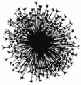 JFF - Dandelion