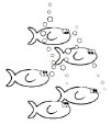 K&G - Fiskestim UM