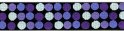 MR - Boston Nightlife Ribbon