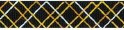MR - Charleston Cityskape Ribbon