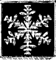 STCA - Snowflake Print