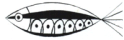 a Circles and Sports Fish
