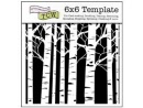 aspen trees 6x6 xxx