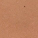 bazzill - corduroy raw silk