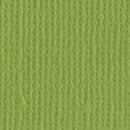 bazzill - parakeet canvas