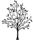 berry tree