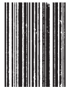com011 stripes