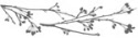 designer adhesive branches and blossoms