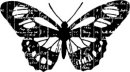 sc - ledger butterfly