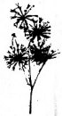 stampers anonymous 012
