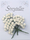 storyteller rose - eggeskall