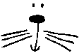 p cat face 65