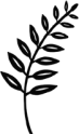 P frond