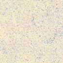b6617