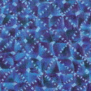 b6618