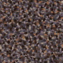 b7117