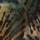 batikugrei91