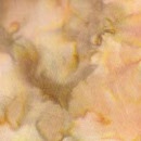 batn01