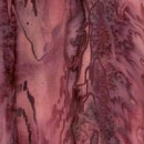 batr29