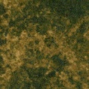 fla230