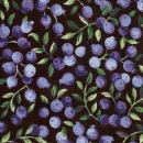 hyb1623