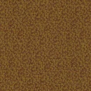 hyg428