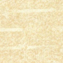 hyn2910