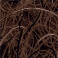 n5503