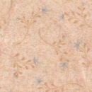 sn2505