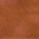sn2524