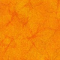 y2401